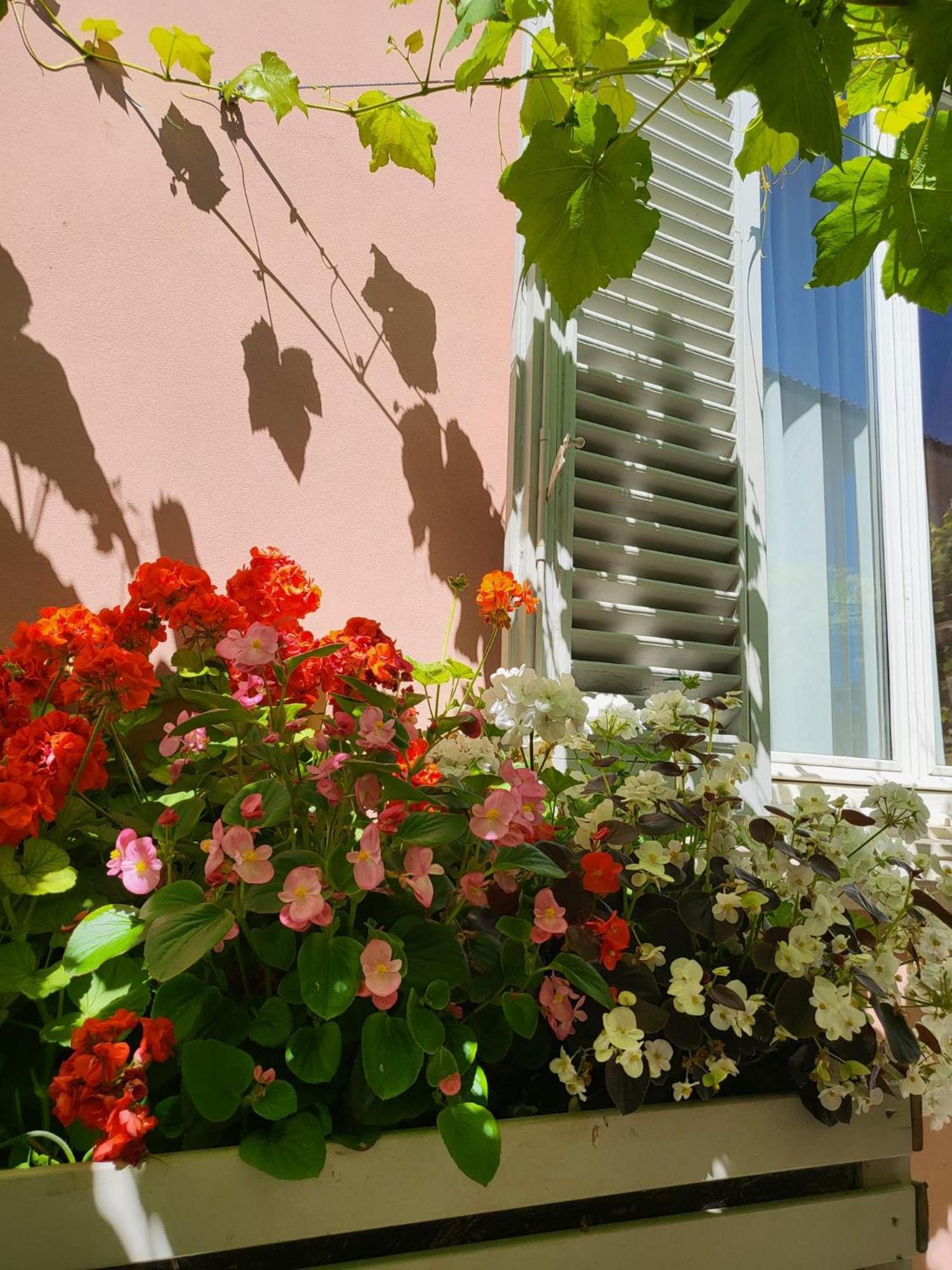 Il Buen Retiro Hotel ลุคคา ภายนอก รูปภาพ