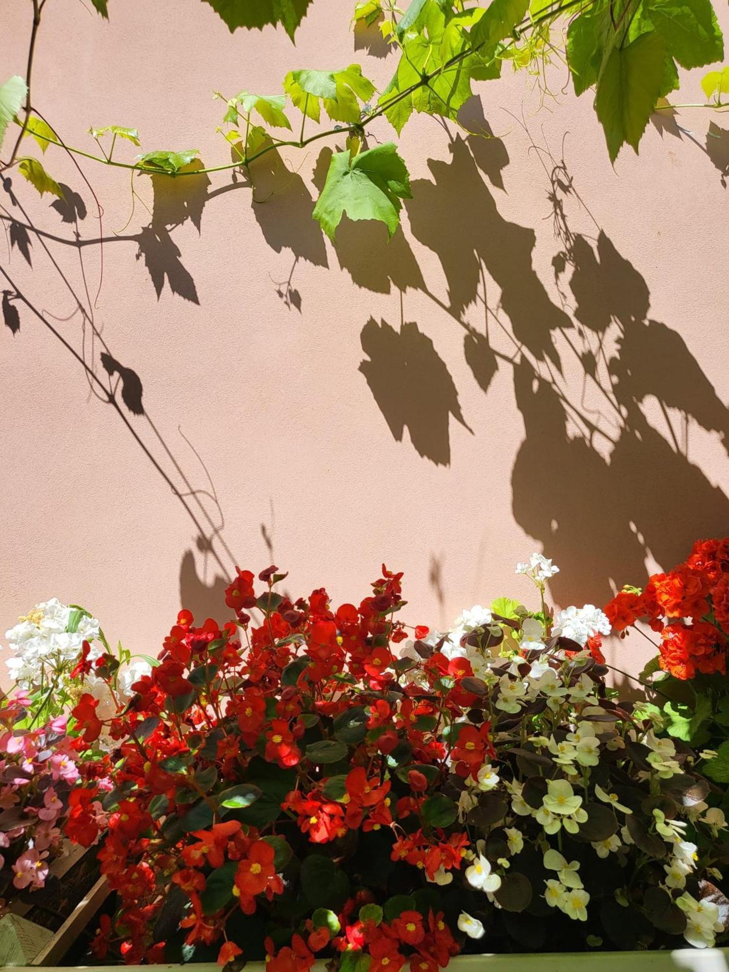 Il Buen Retiro Hotel ลุคคา ภายนอก รูปภาพ