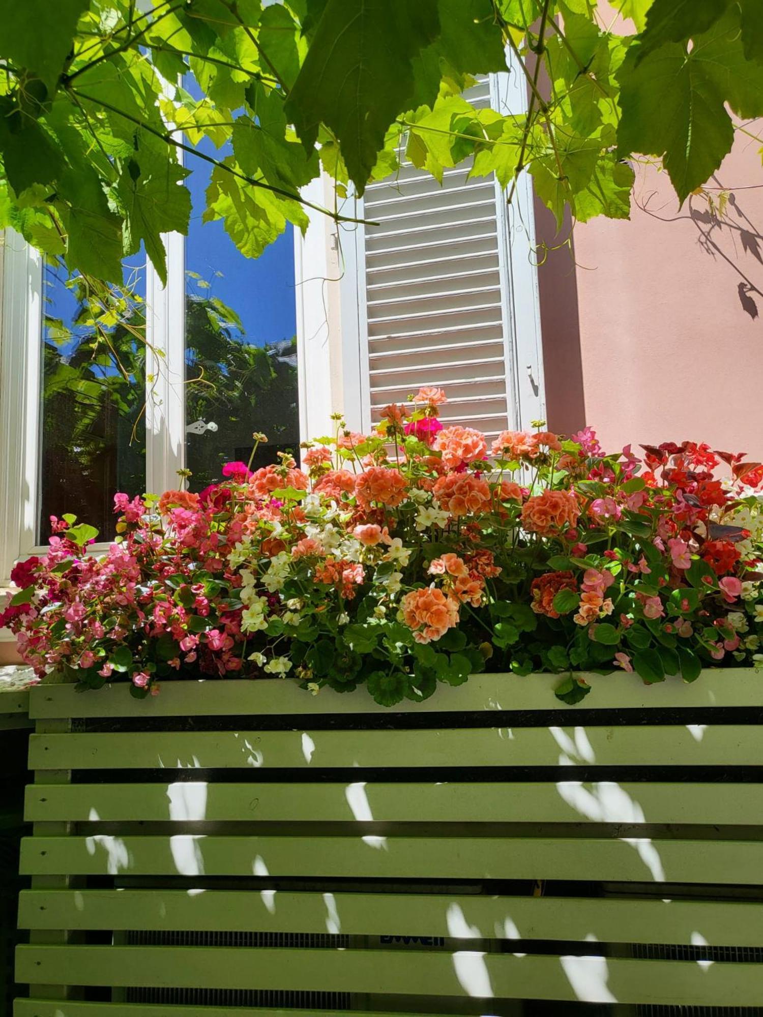 Il Buen Retiro Hotel ลุคคา ภายนอก รูปภาพ