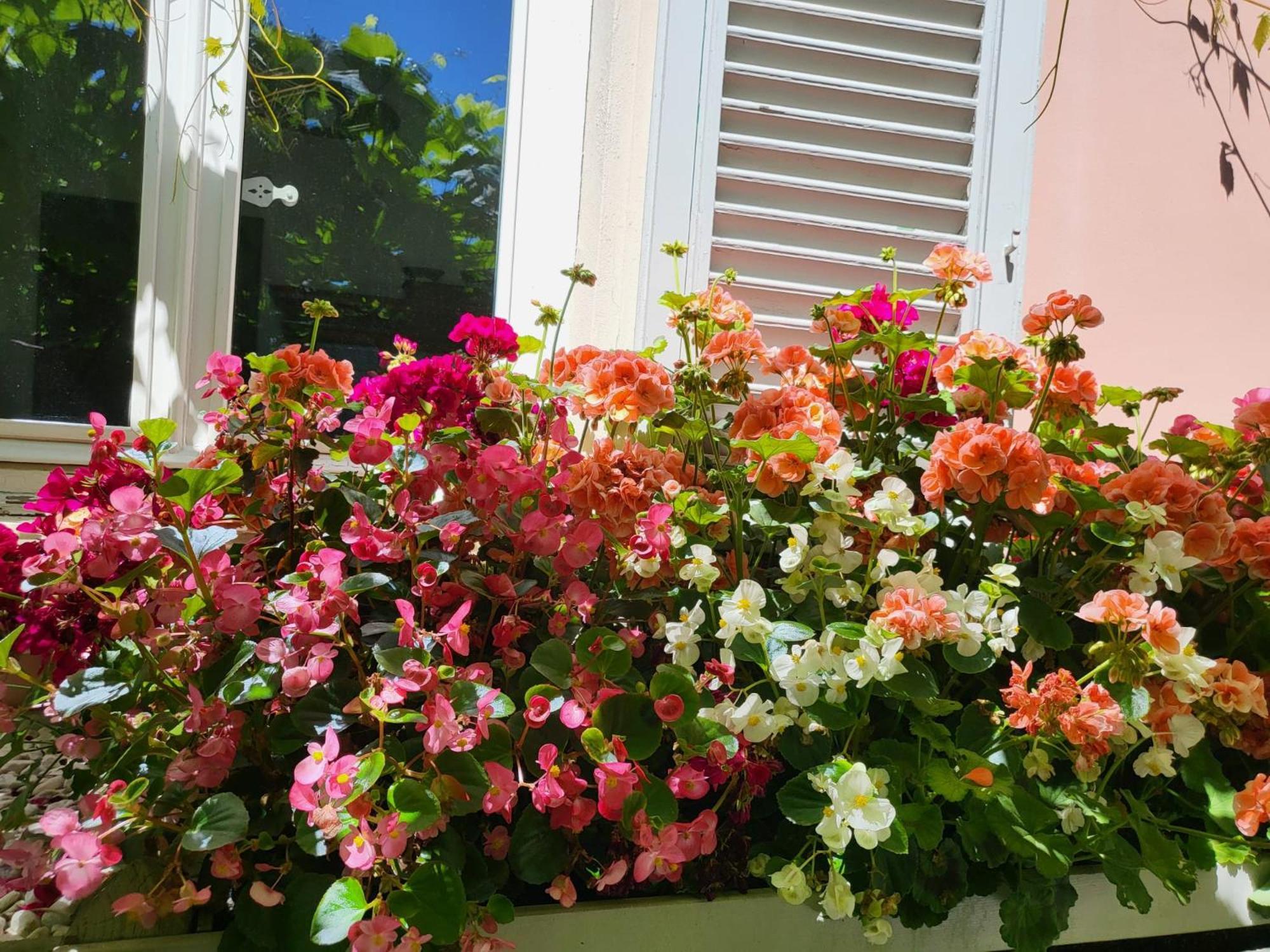 Il Buen Retiro Hotel ลุคคา ภายนอก รูปภาพ
