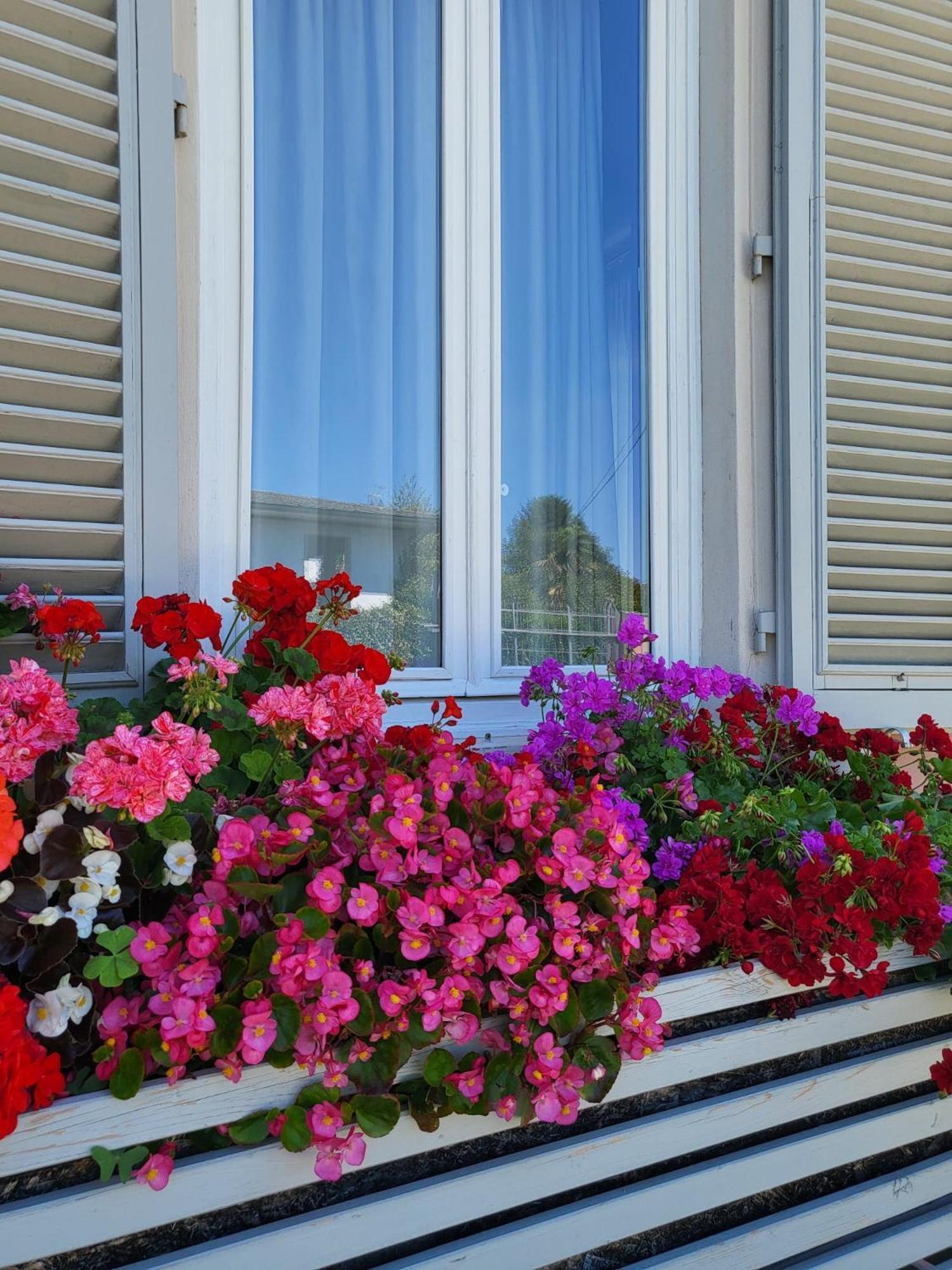Il Buen Retiro Hotel ลุคคา ภายนอก รูปภาพ
