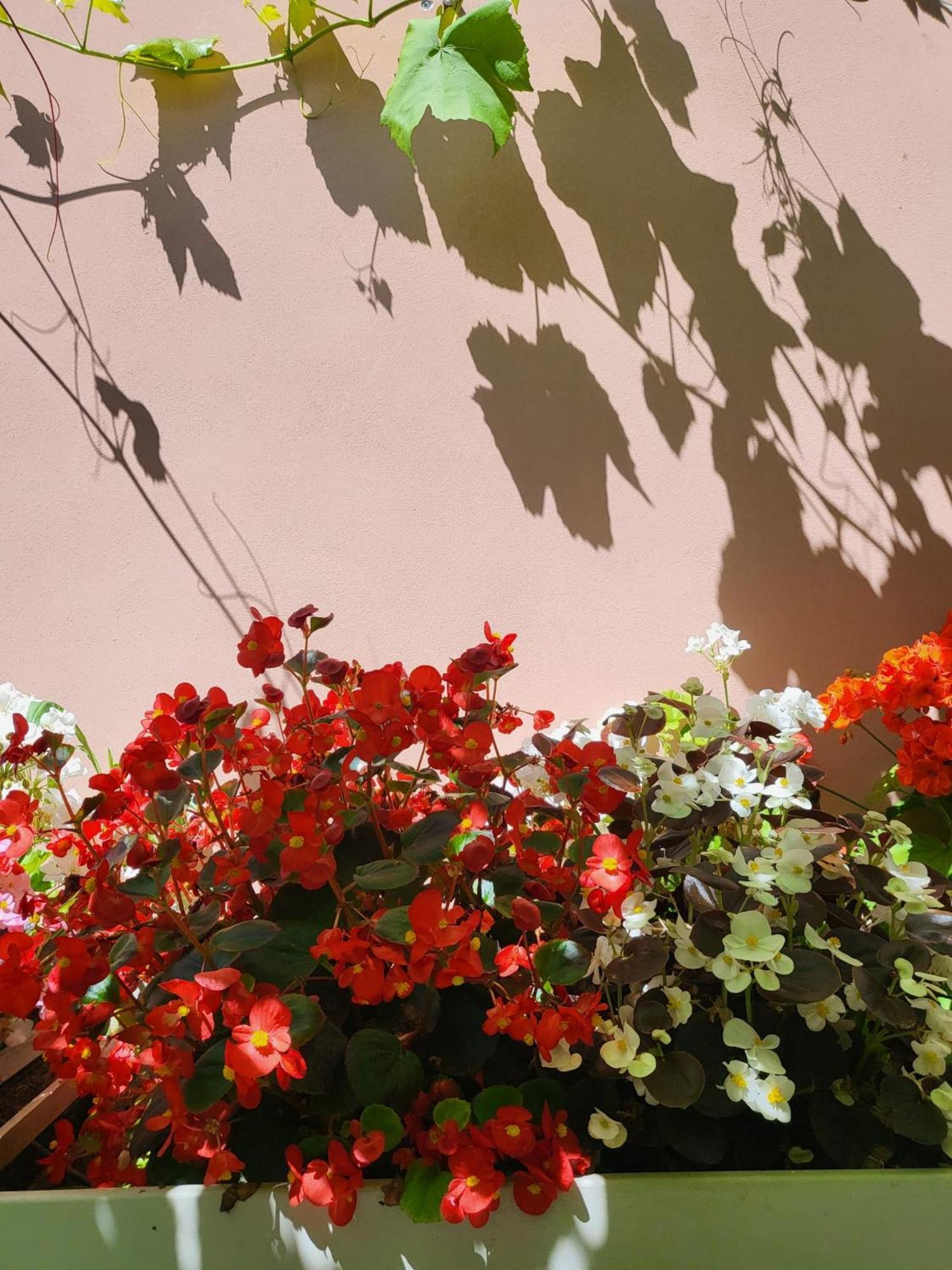 Il Buen Retiro Hotel ลุคคา ภายนอก รูปภาพ